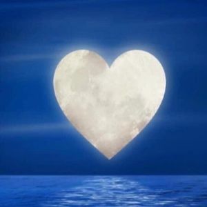 Meet your Posher, Brett